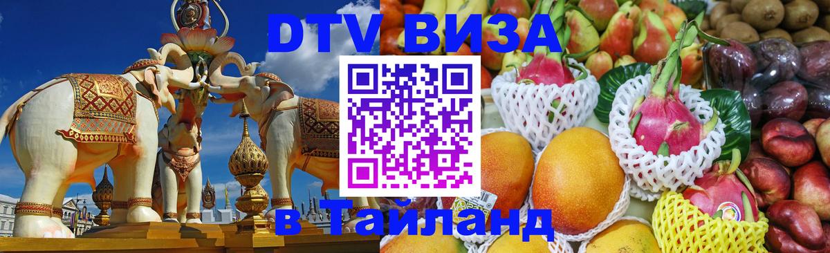 Оформление DTV визы под ключ: стоимость и тарифы, только загранпаспорт - Тула  20.11.2025 